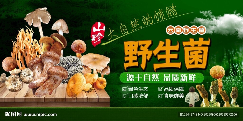 野生菌海報