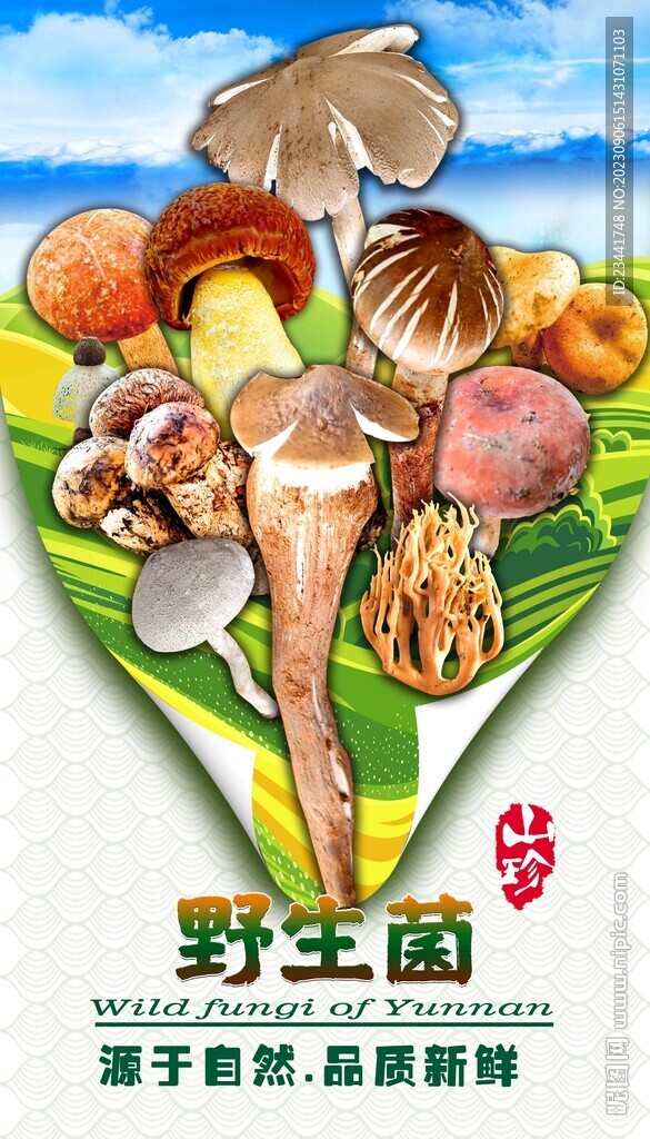 野生菌廣告
