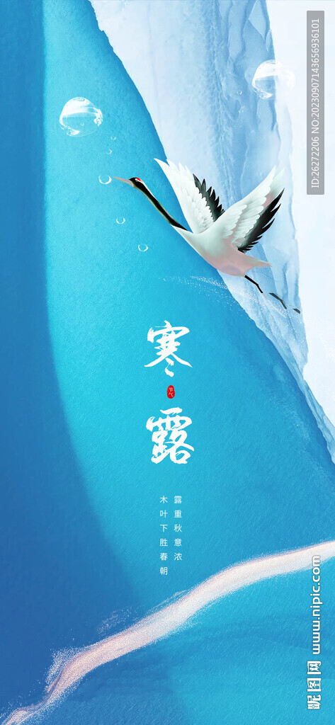 寒露節(jié)氣海報(bào)