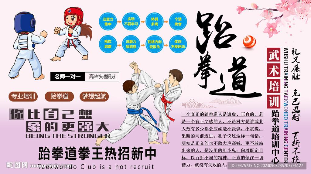 跆拳道背景墻