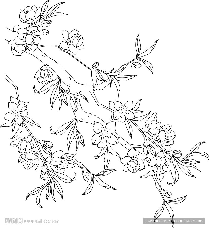 梅花 春梅 矢量圖
