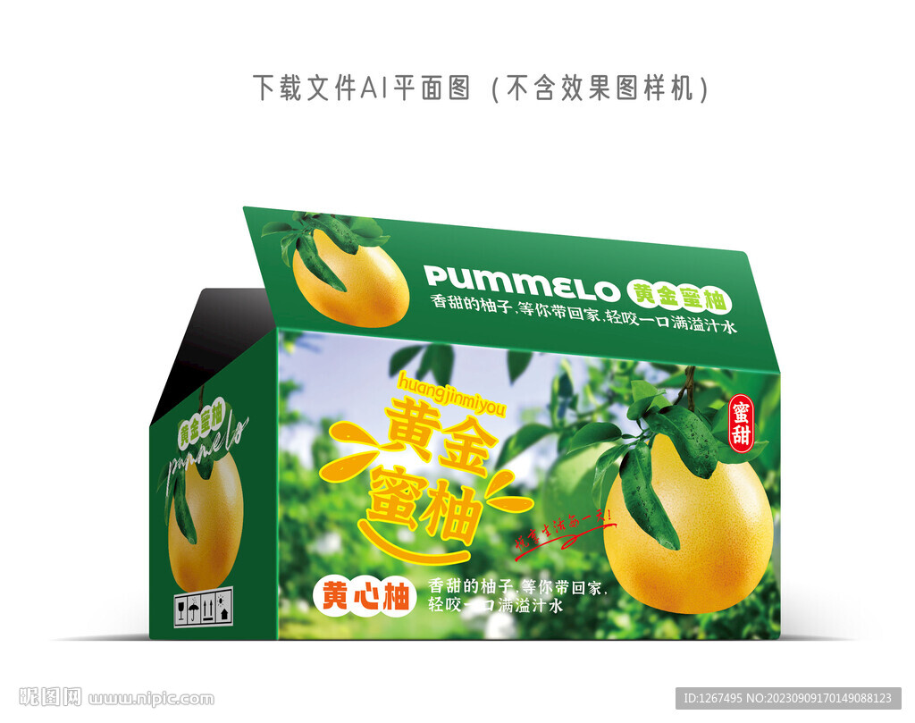 黃金蜜柚彩盒
