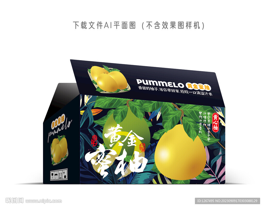黃金蜜柚包裝