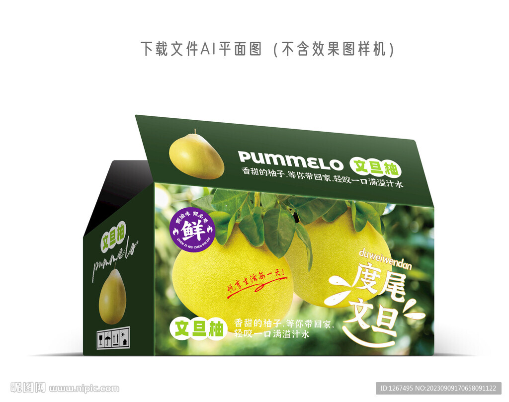 度尾文旦柚包裝