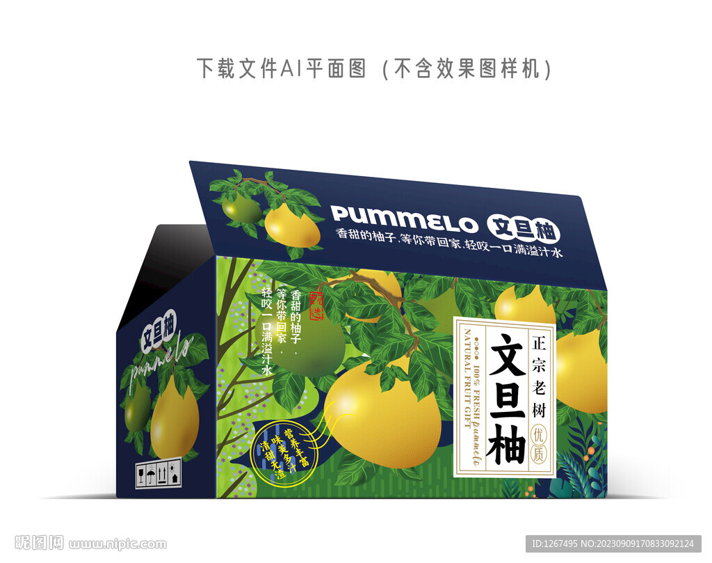 文旦柚彩盒