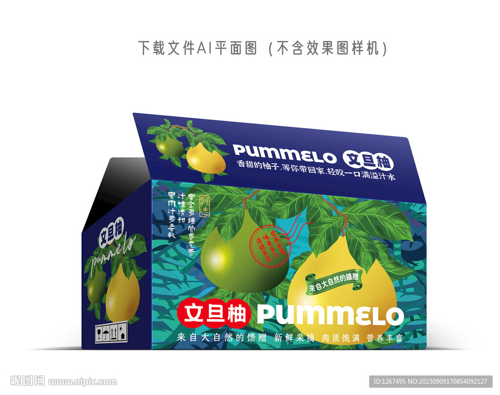 文旦柚禮盒