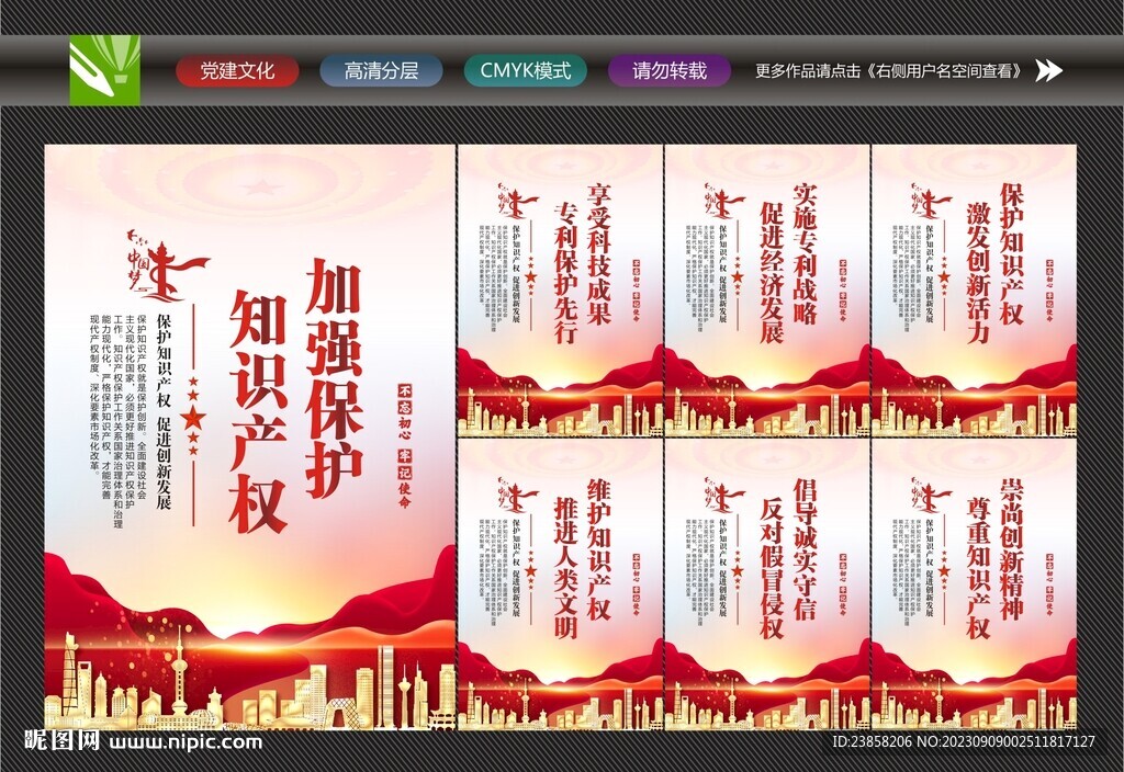 知識產(chǎn)權(quán)保護