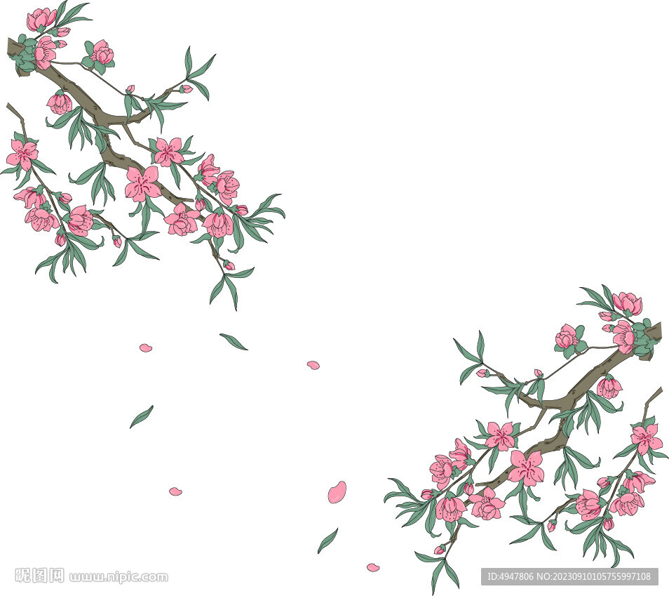 梅花 插畫 矢量圖