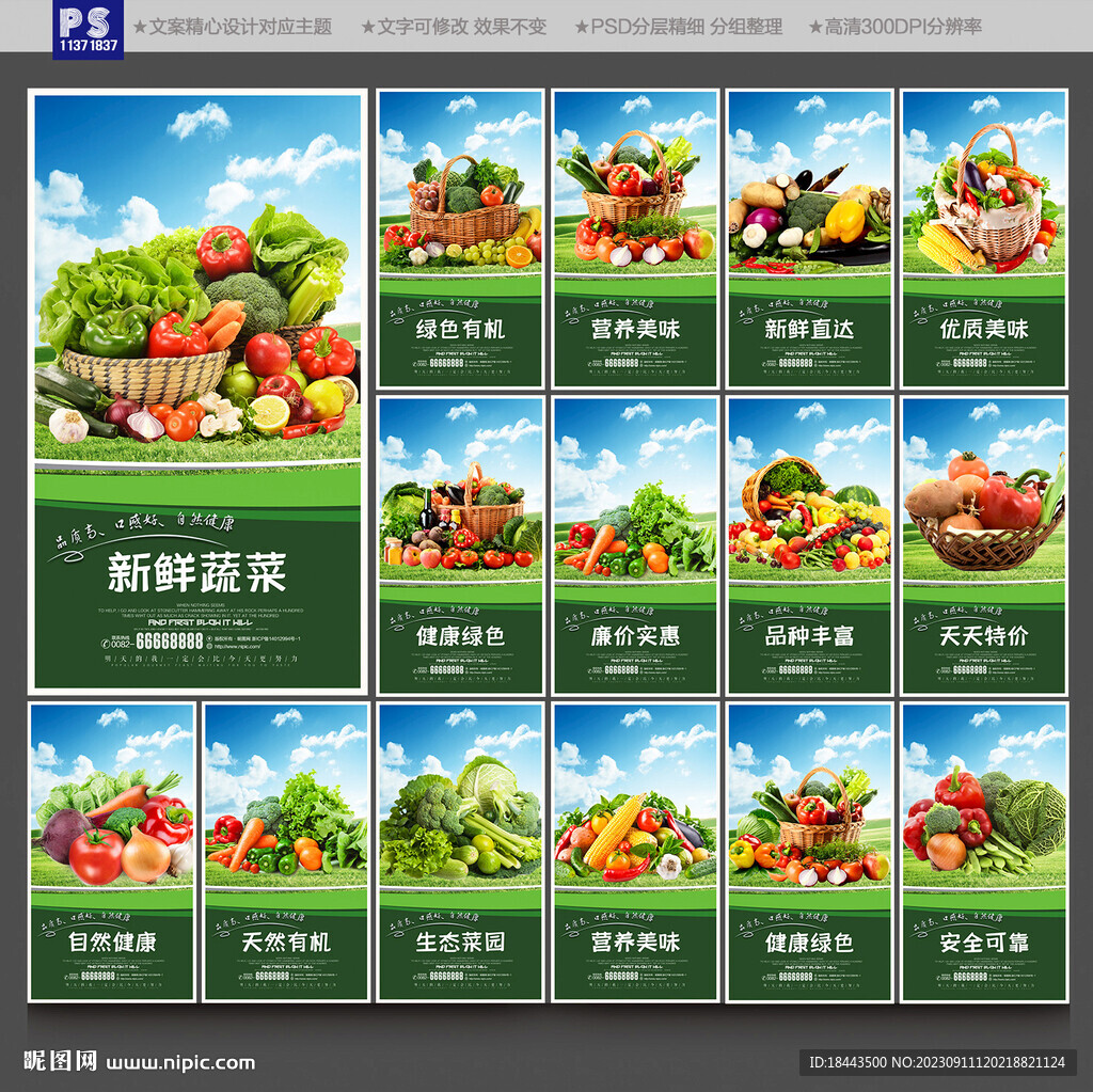 蔬菜