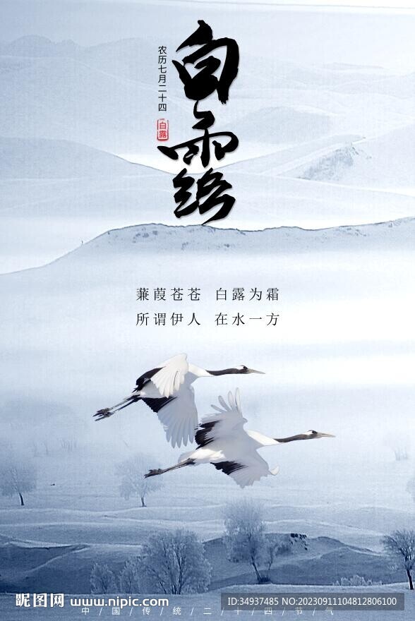 白露海報