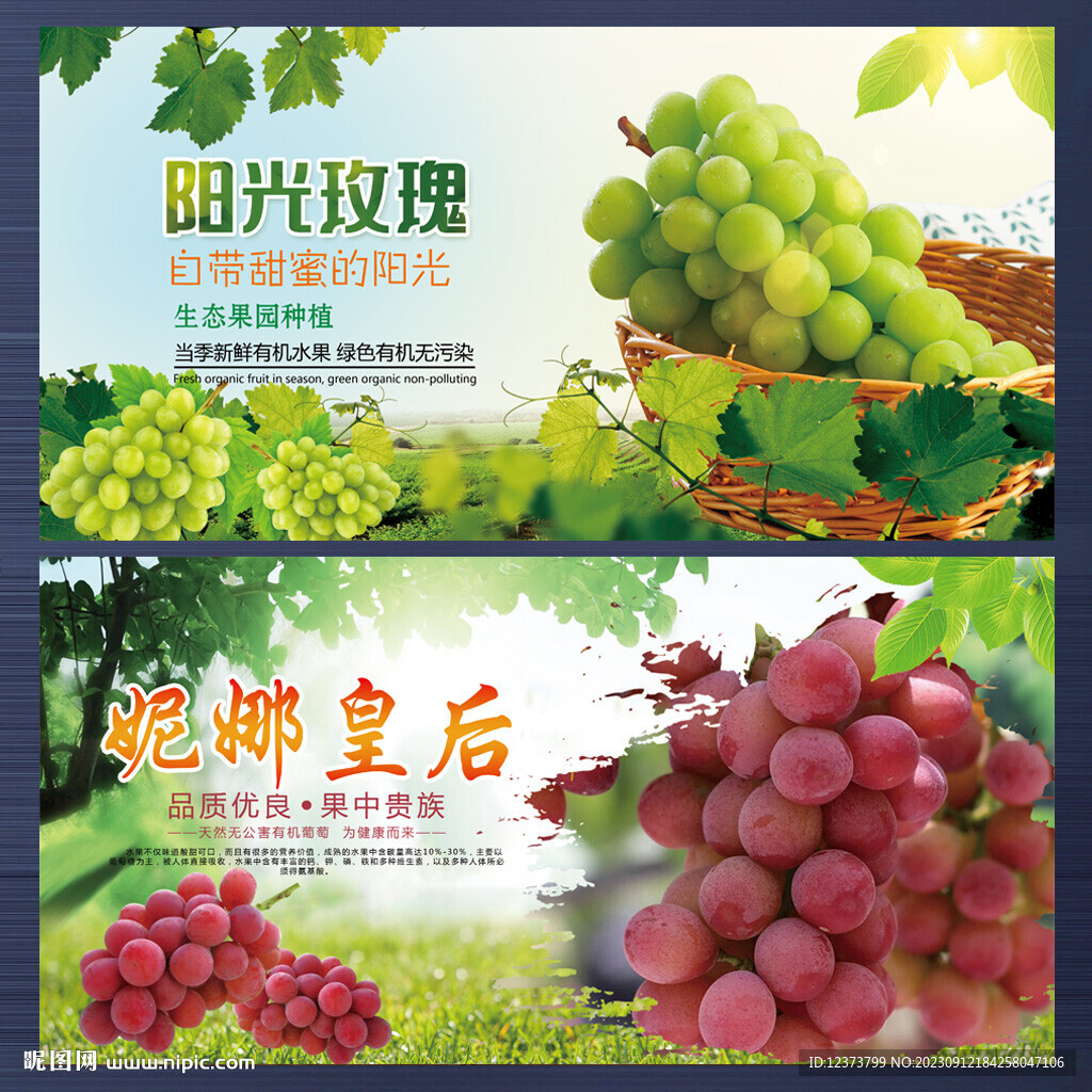 陽光玫瑰 妮娜皇后 葡萄