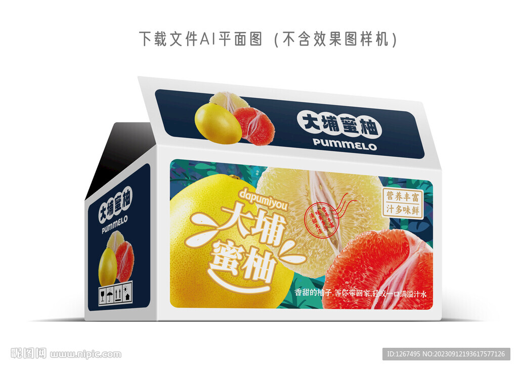 大埔蜜柚包裝 