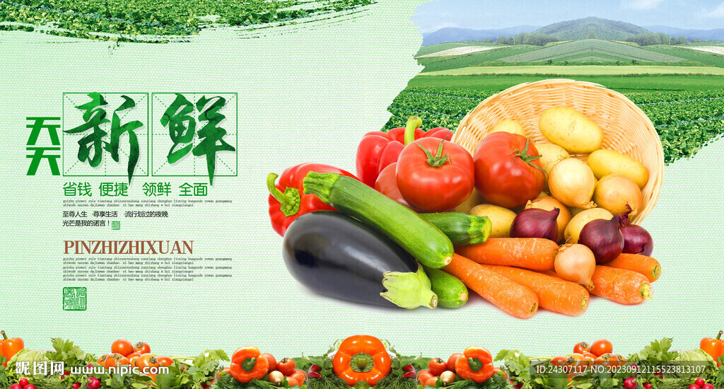 最新原創(chuàng)蔬菜宣傳展板
