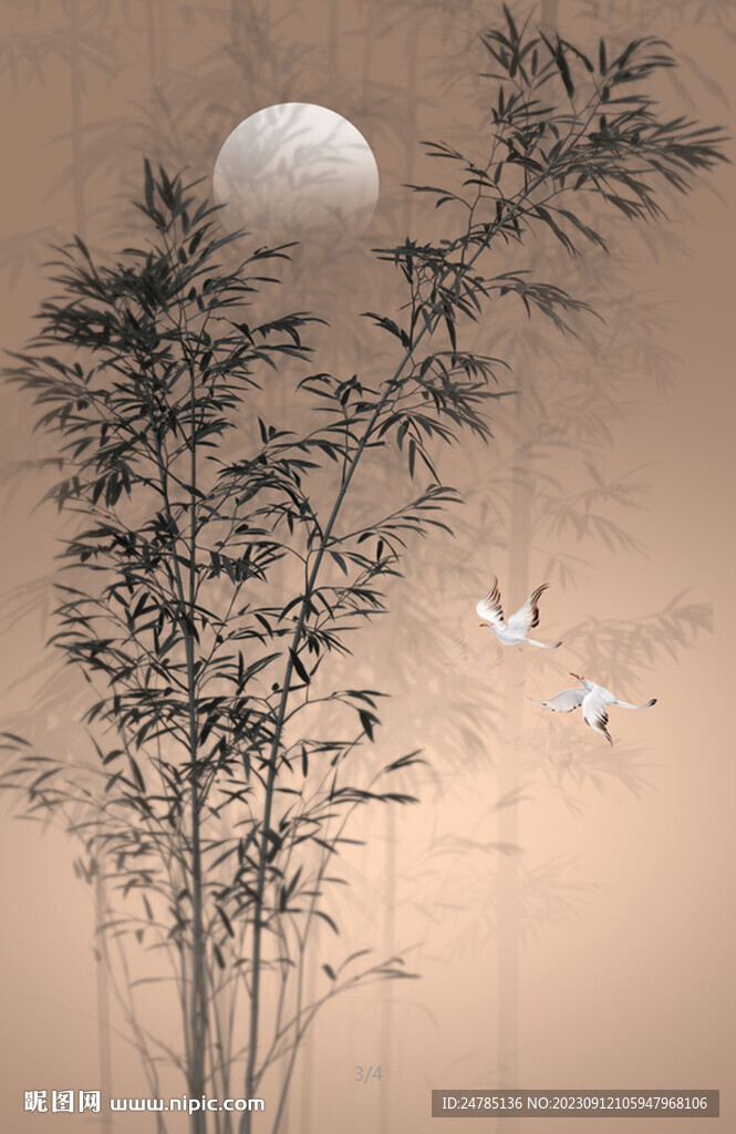 唯美竹影竹韻