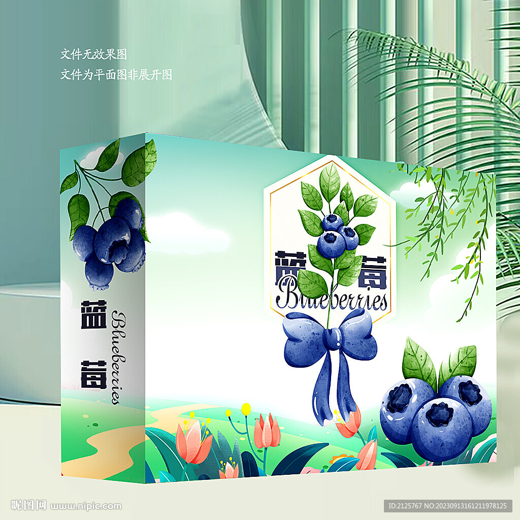 藍莓包裝