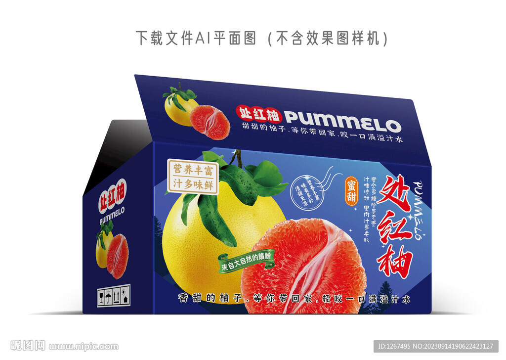處紅柚包裝