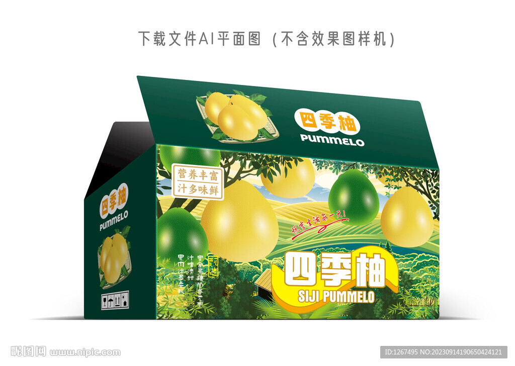 蒼南四季柚包裝