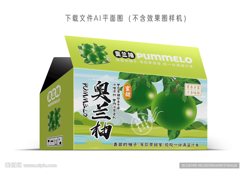  奧蘭柚彩盒