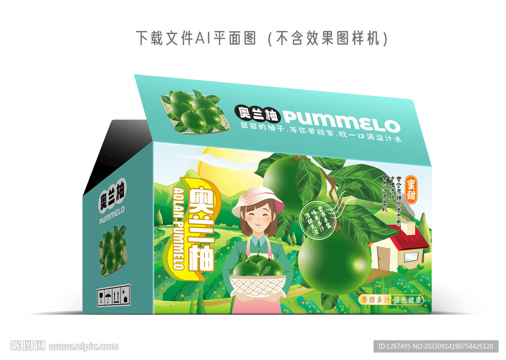 奧蘭柚包裝