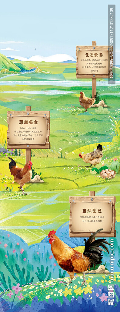 生态农场养鸡场养殖宣传图  