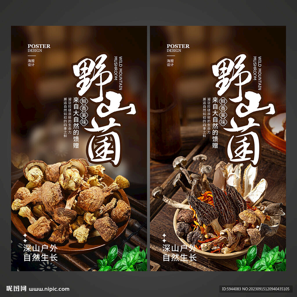 野山菌