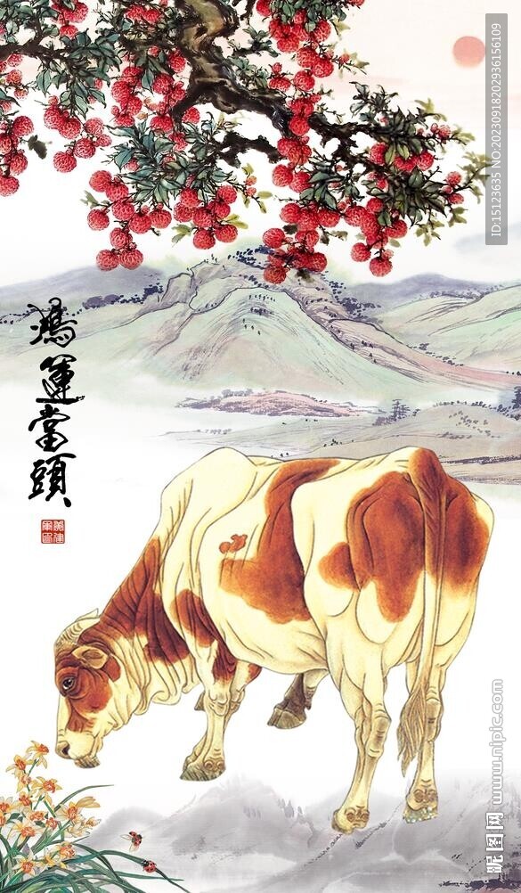 老黃牛