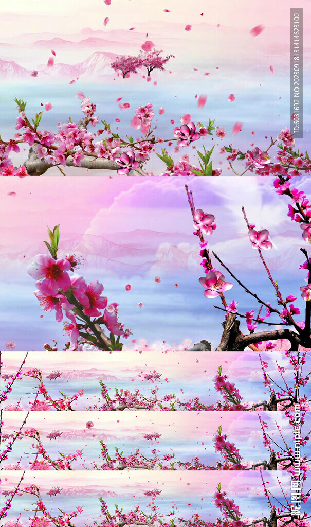 桃花背景視頻