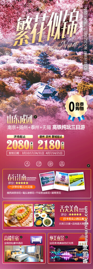 華東賞花踏青旅游海報