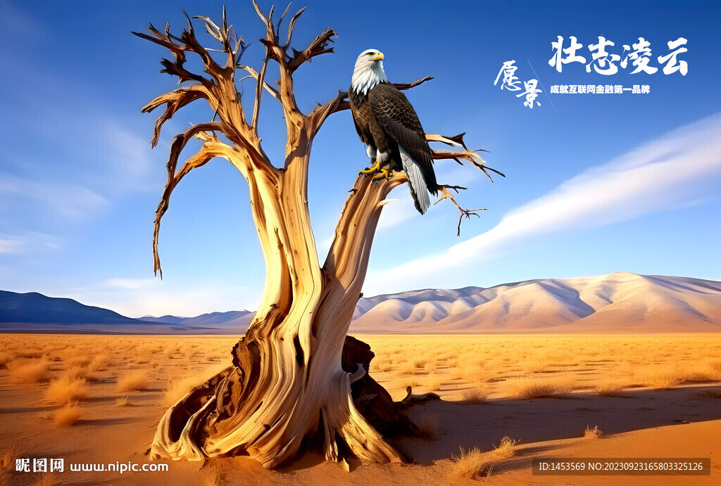 沙漠胡楊鷹