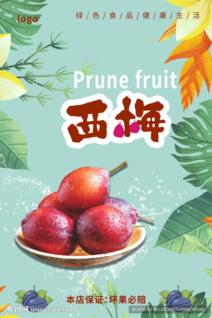 秋季水果 西梅