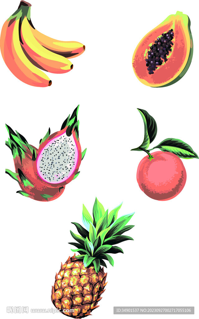 水果插畫
