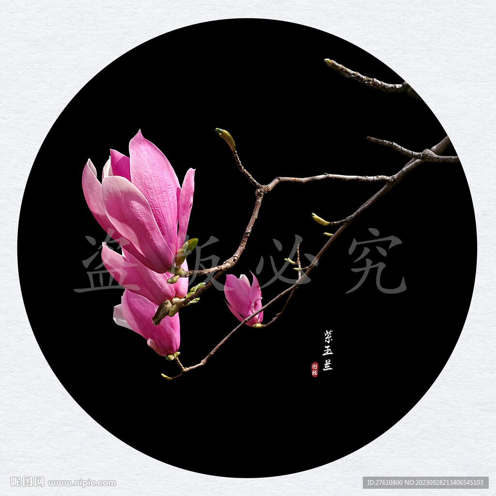 玉蘭花