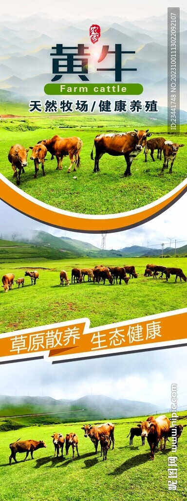 黃牛海報(bào)