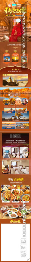 西北胡楊林行程美化