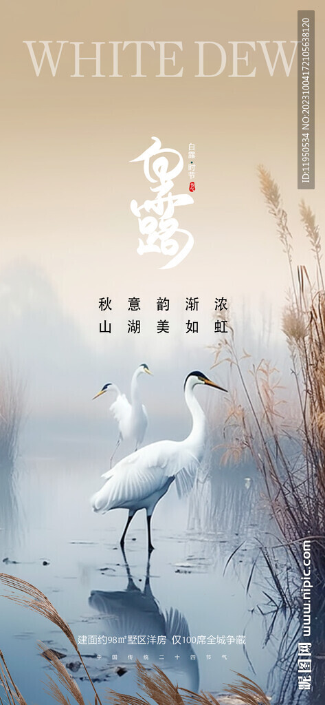 寒露  