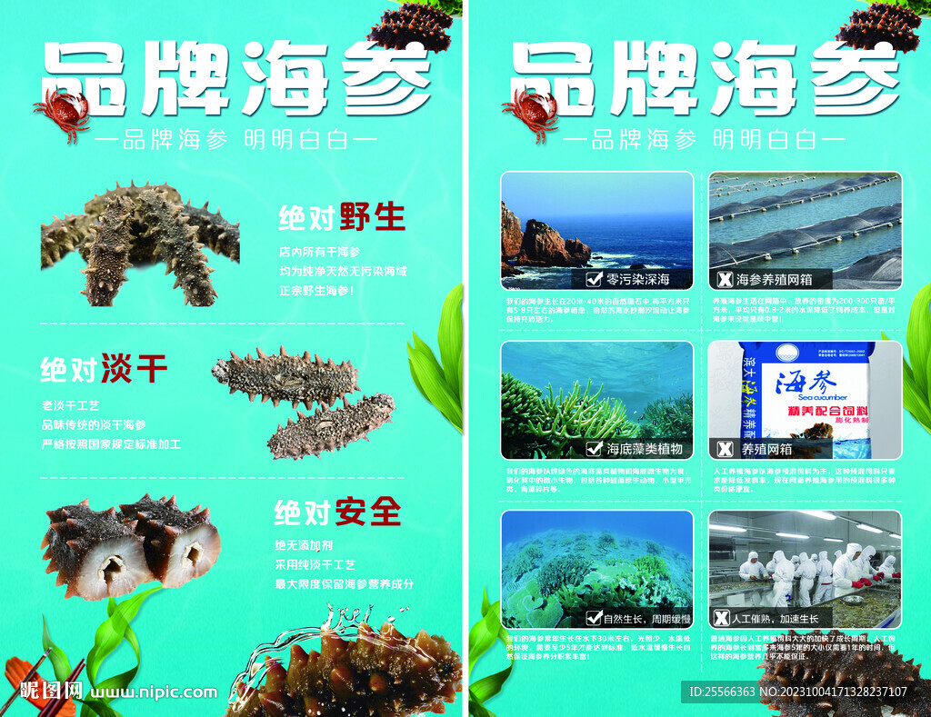 海參海報