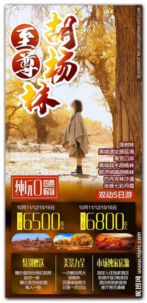 胡楊林旅游