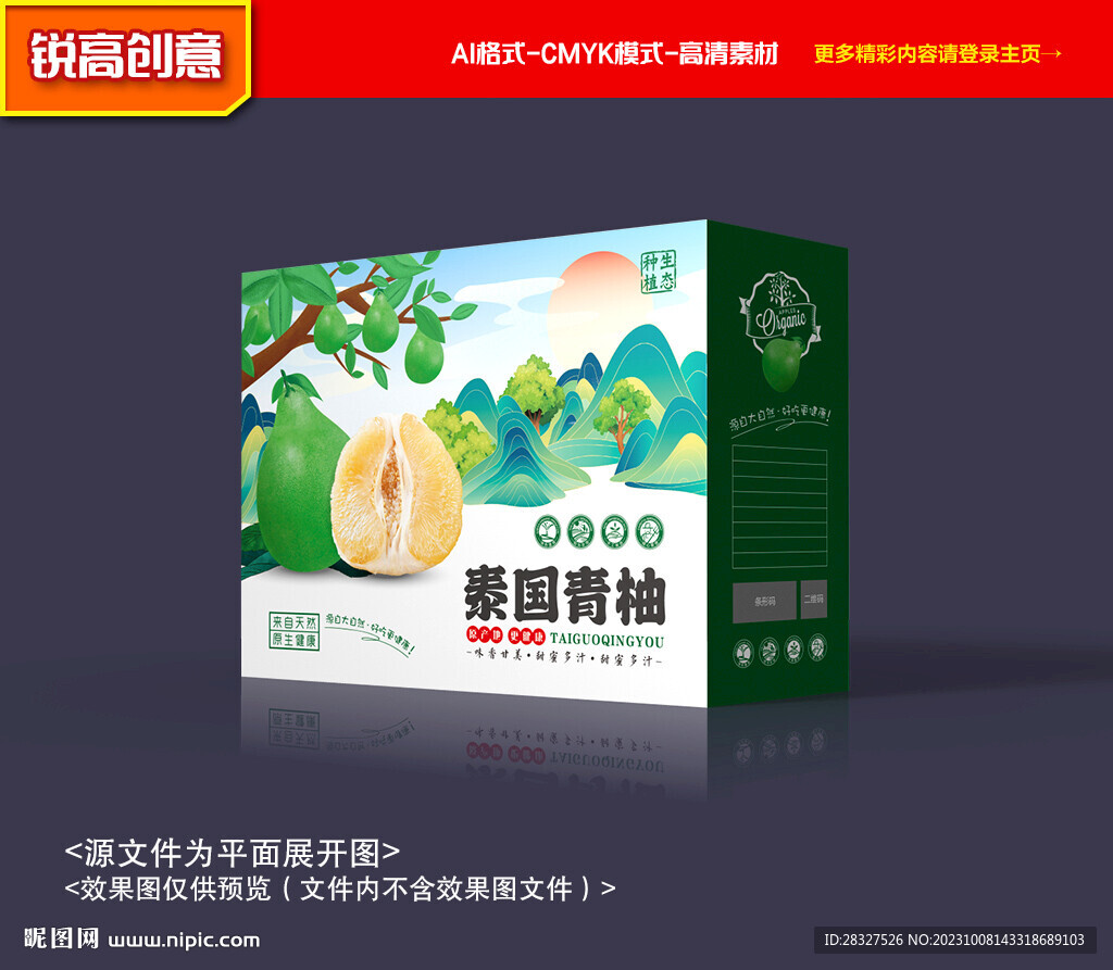 柚子包裝 青柚禮盒