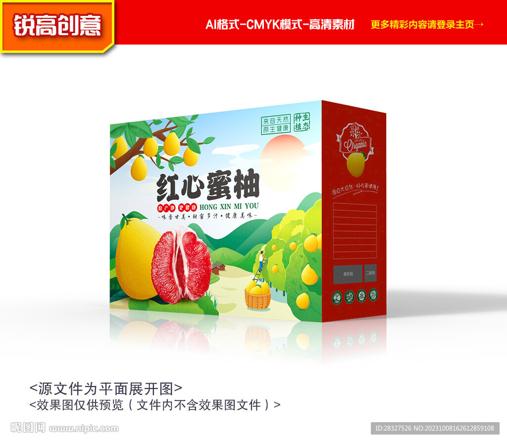 柚子包裝 柚子禮盒