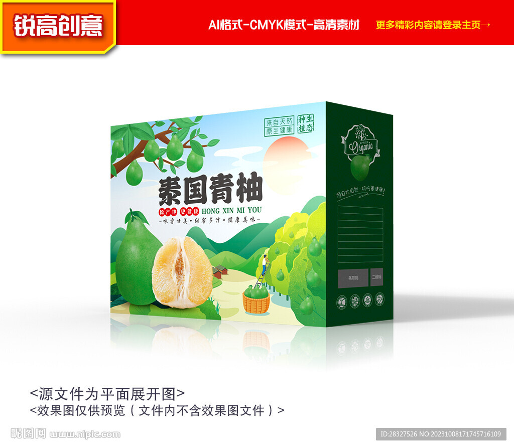 柚子包裝 青柚禮盒