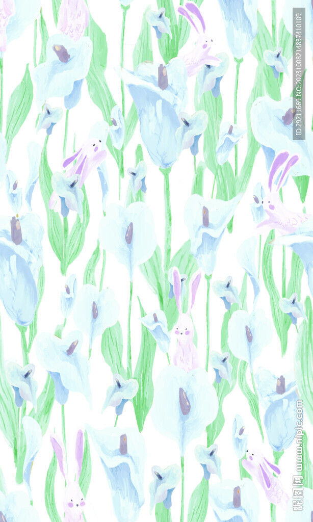 兔子花