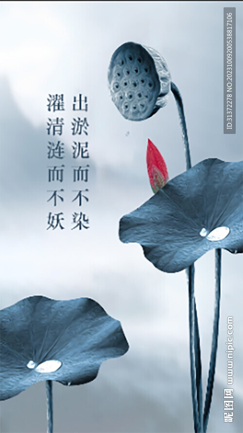 蓮花