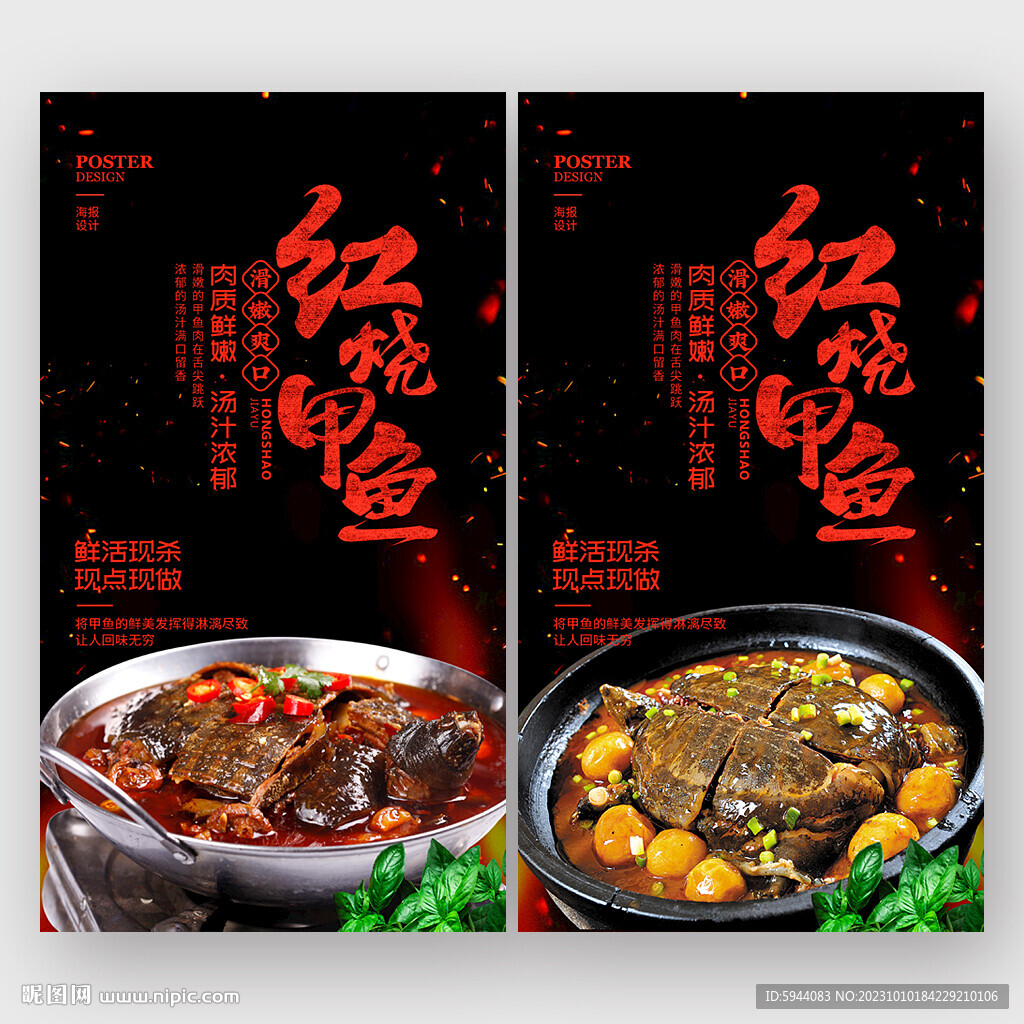 甲魚