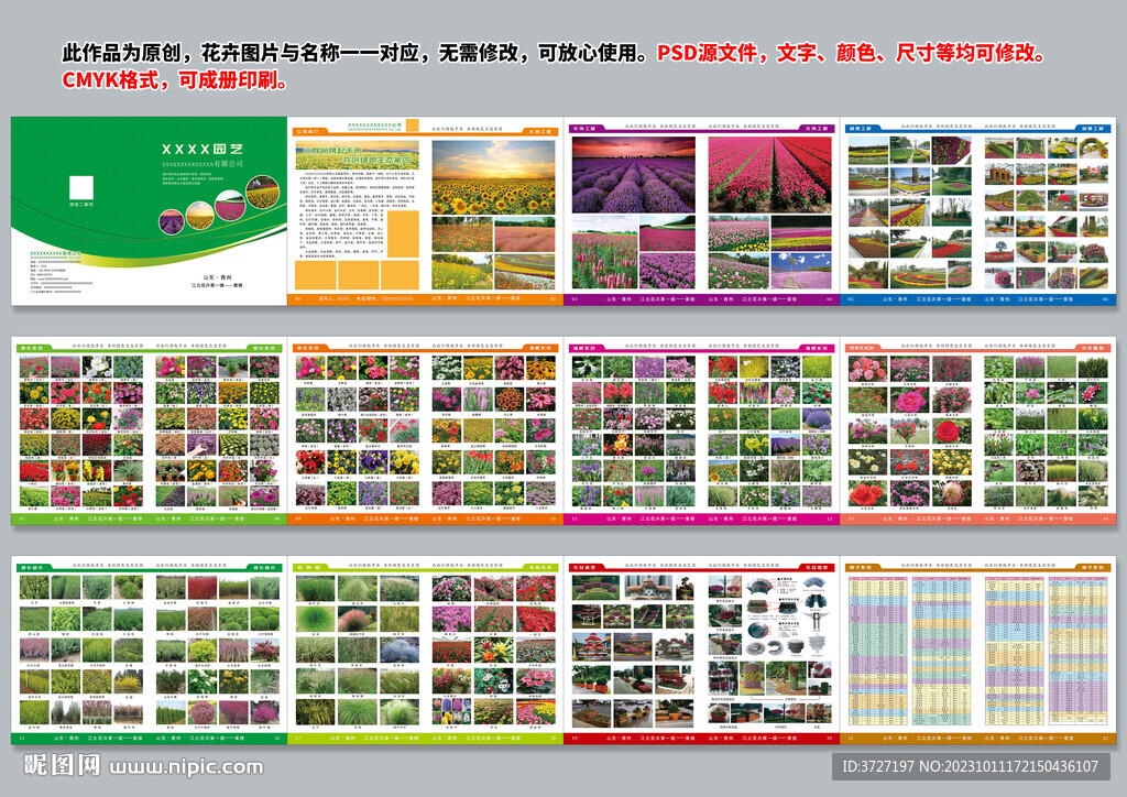 花卉手冊(cè)畫(huà)冊(cè)