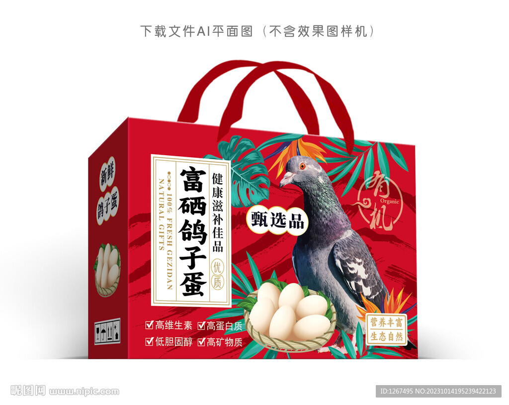 鮮鴿蛋禮盒