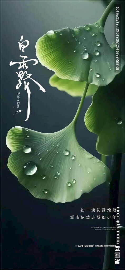 白露節(jié)氣海報(bào)