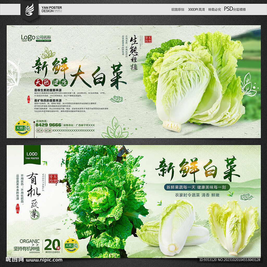 黃白菜