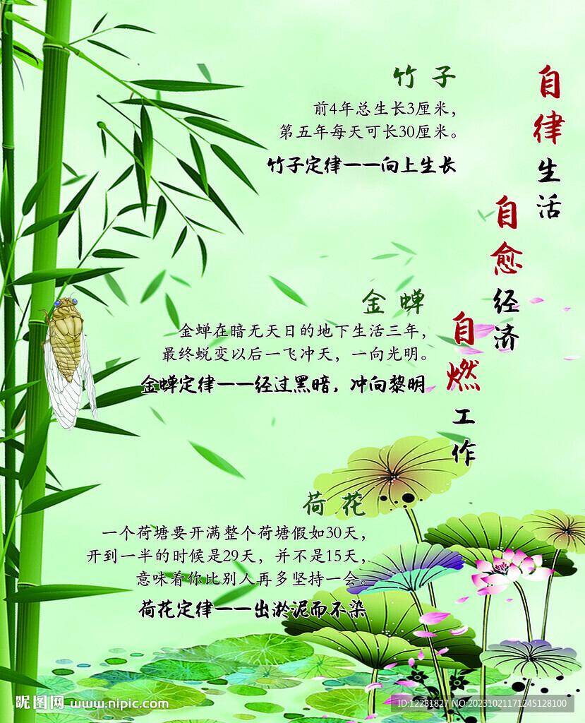 竹子荷花蟬