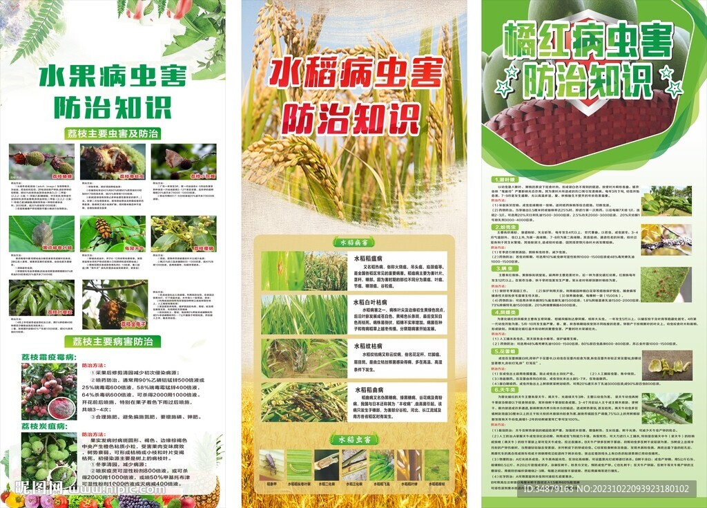病蟲害防治知識