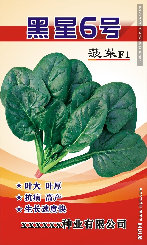 菠菜種子展板